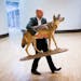 Michael Blaschke carries a taxidermised wolf prior to an exhibition "The return of wolves to North Rhine-Westphalia" in the federal state parliament i