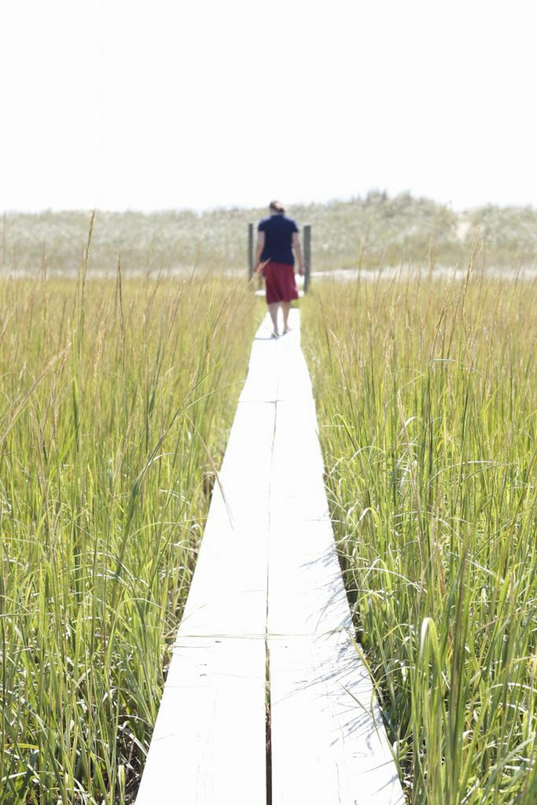 In lieu of a backyard, Wellfleet Harbor offers something better, a wooden plank that runs across marsh and stream, over the tops of crabs in the crevices, leading to beach, across from Indian Neck.