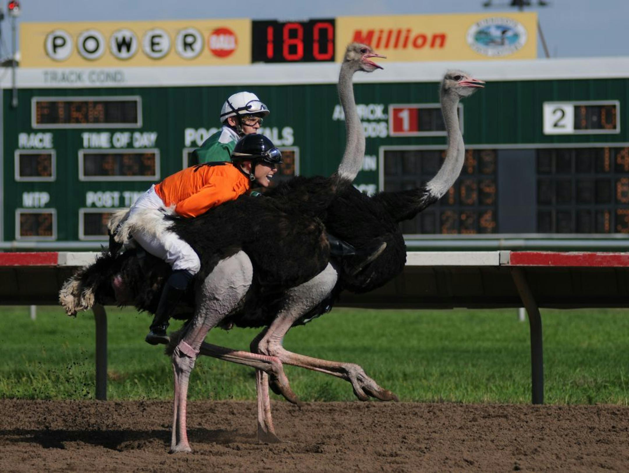 Brittany Arterburn came through with a last-second win while riding Wally the Birdman during last year's Extreme Race Day at Canterbury Park in Shakopee.