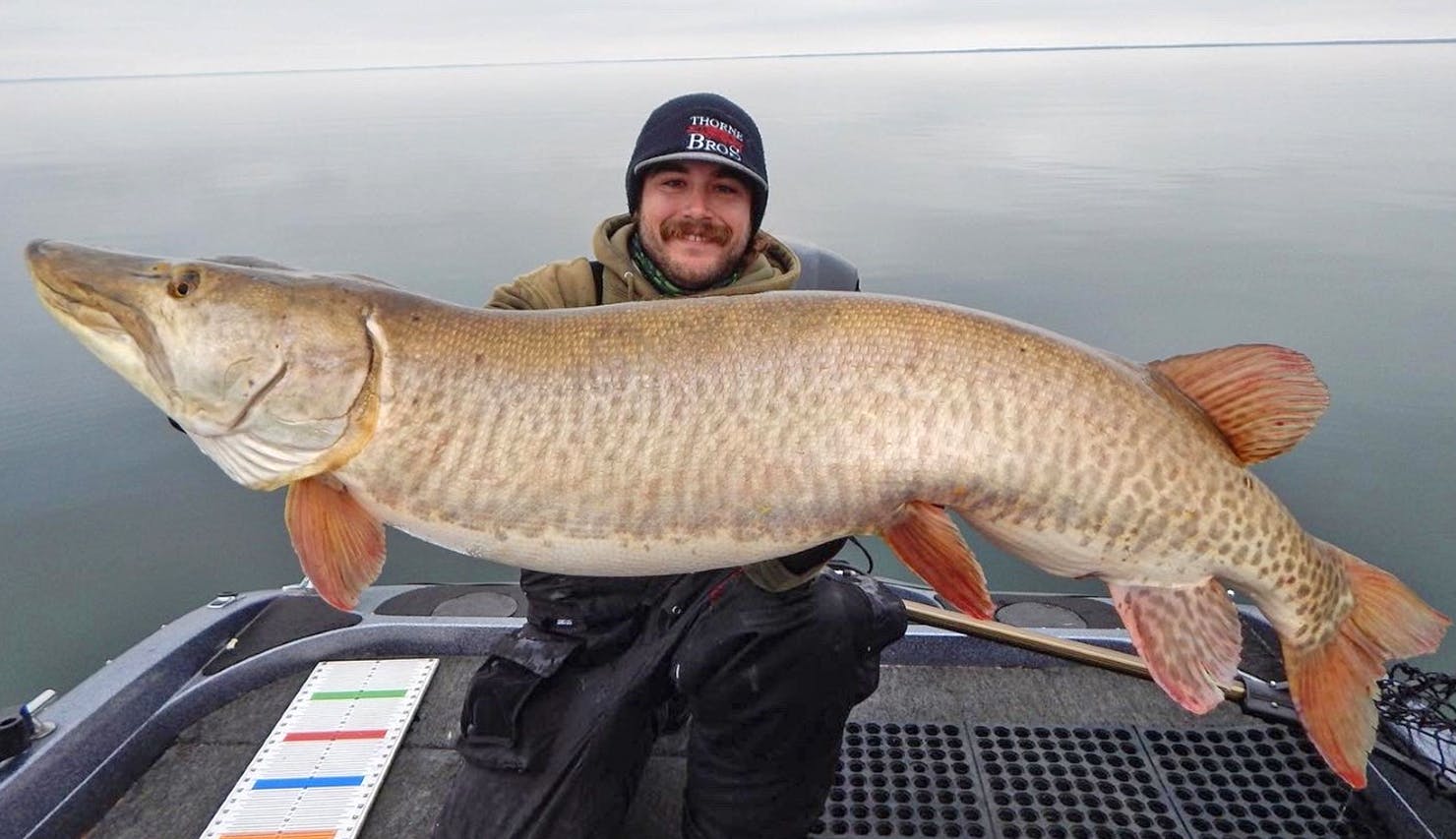 Epic muskie day lifts young fishing guide into rare air
