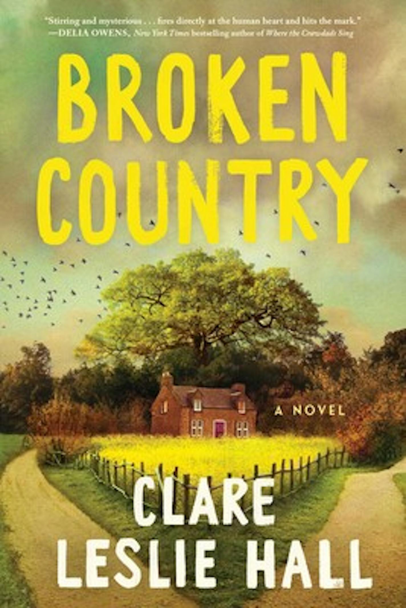 cover of Broken Country is a painting of a house in a bright green yard, with a large tree behind it