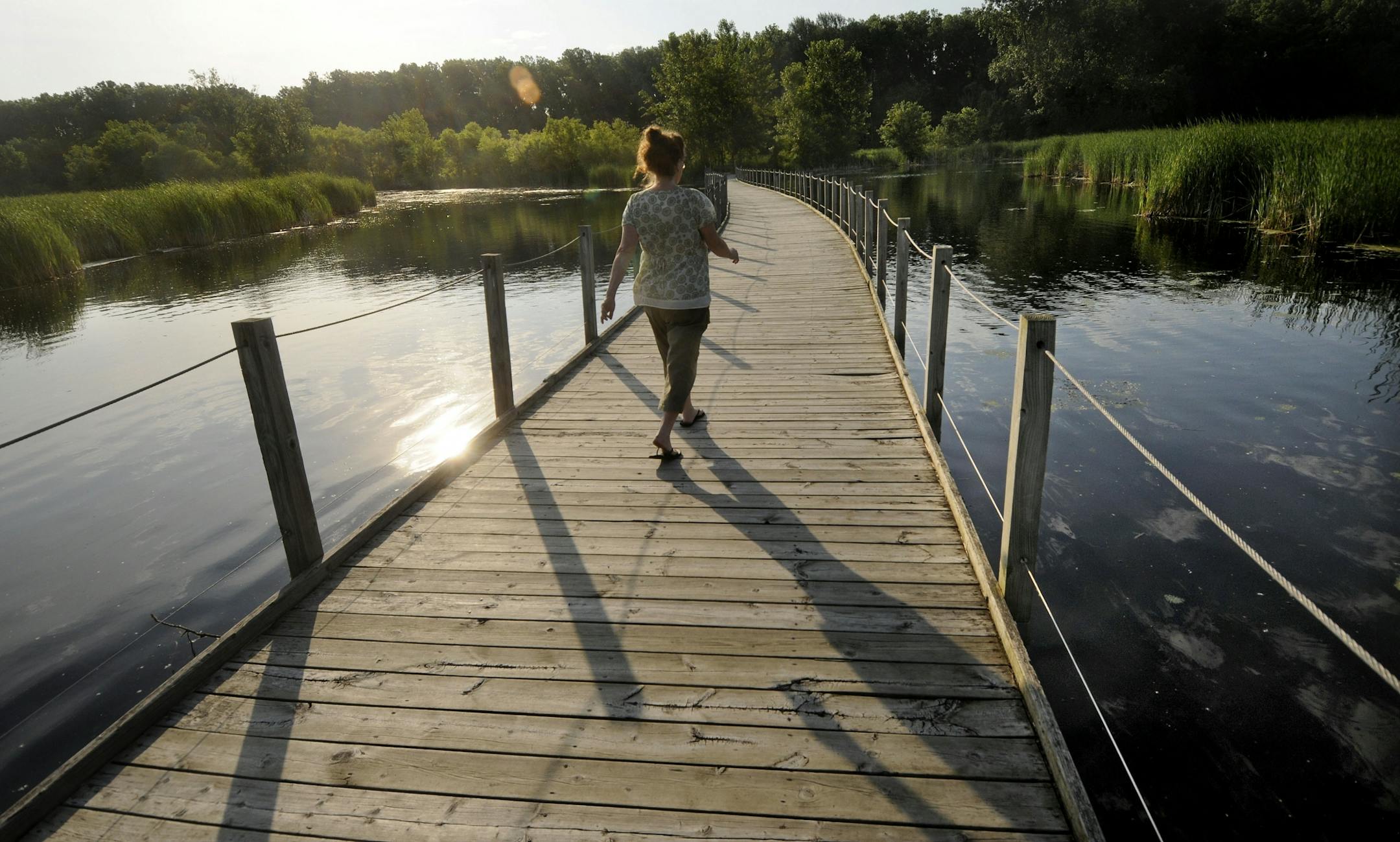 Andrea Lind of Richfield walked on a floating boardwalk on Wood Lake, a cattail marsh within a 150-acre natural area.