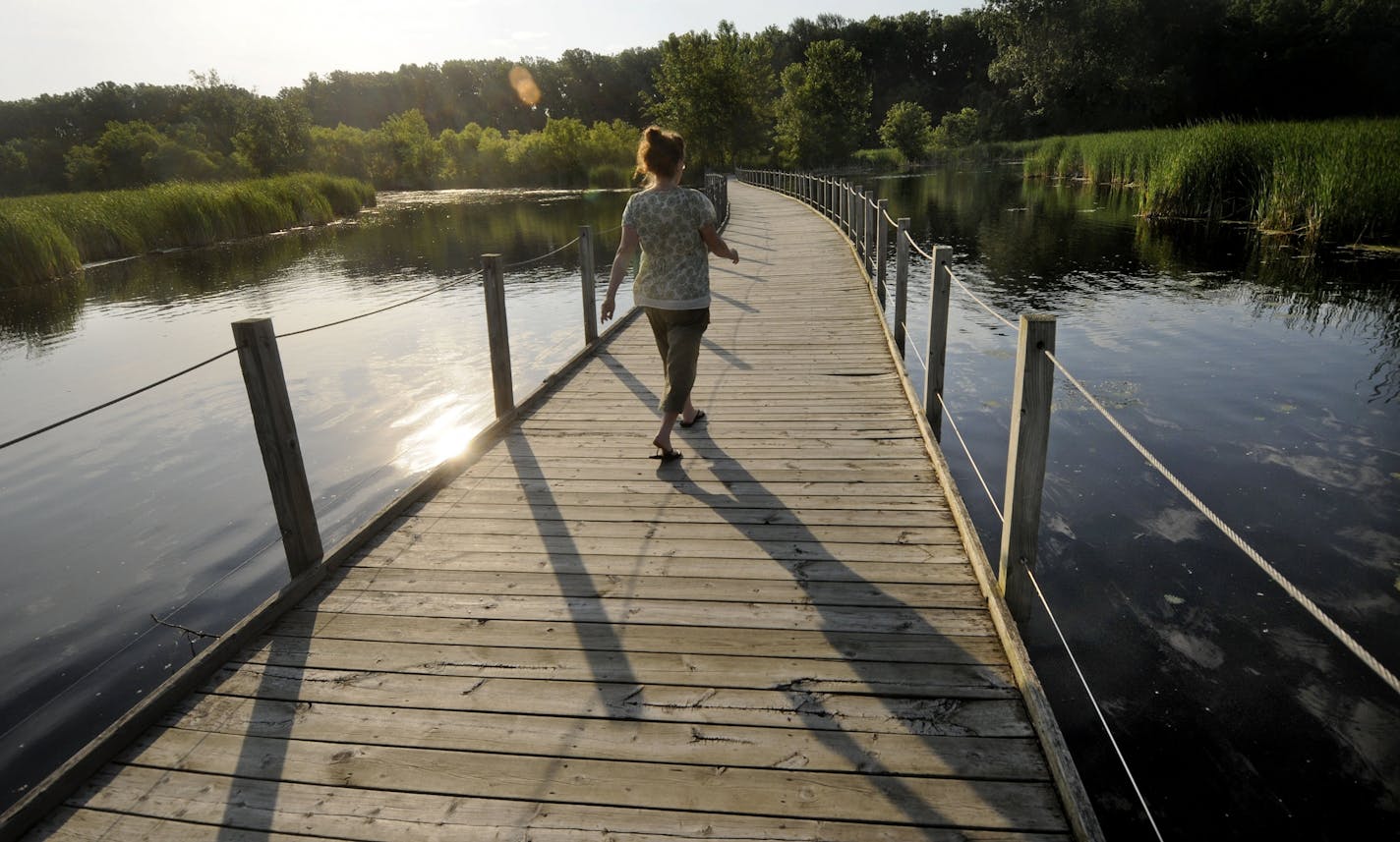 Andrea Lind of Richfield walked on a floating boardwalk on Wood Lake, a cattail marsh within a 150-acre natural area.