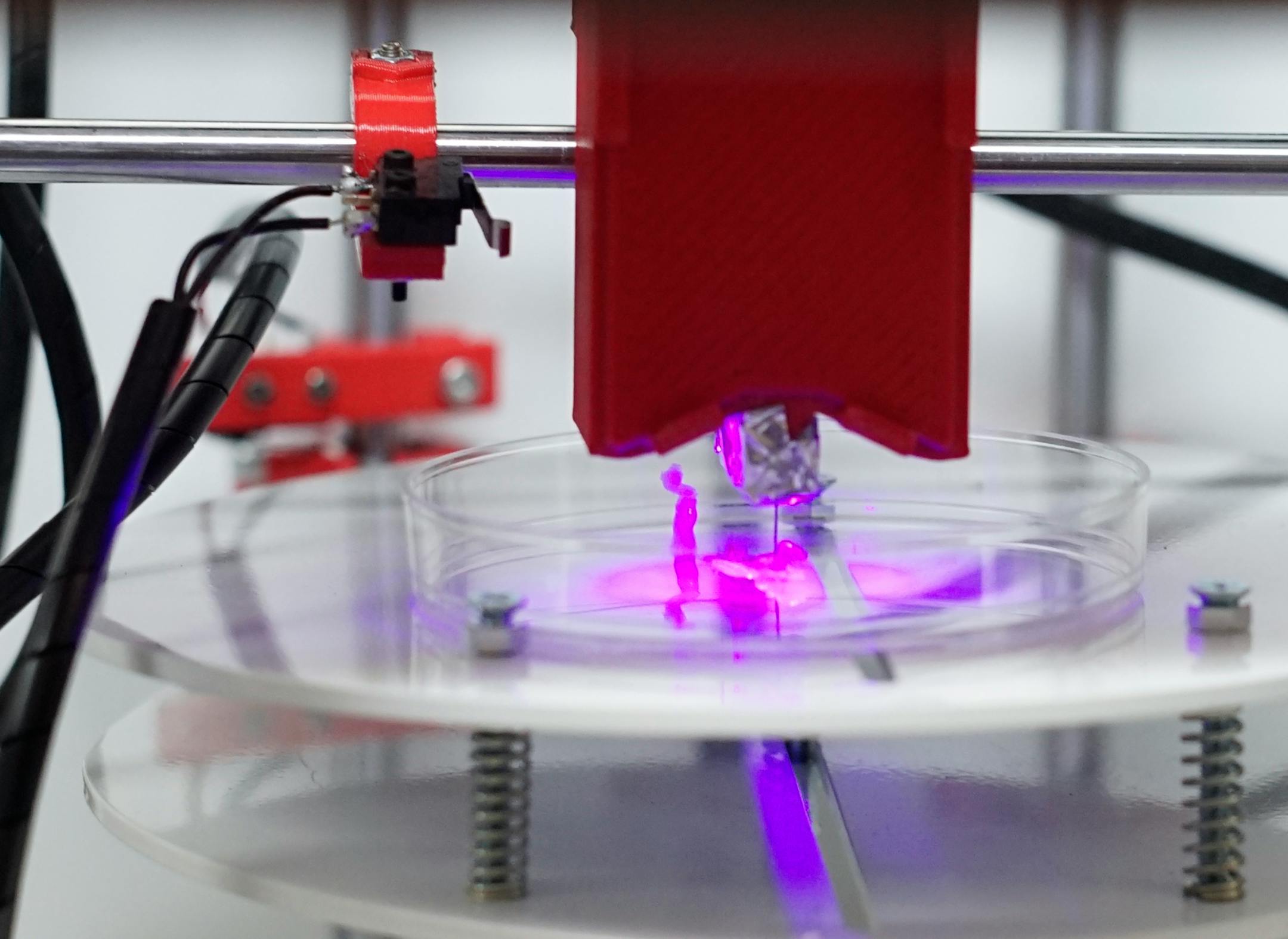 At the U of M, cardiology, Dr. Angela Mortari is using the school's first "bioprinter" to print with a 1/3 replica of a human nose with organic material.