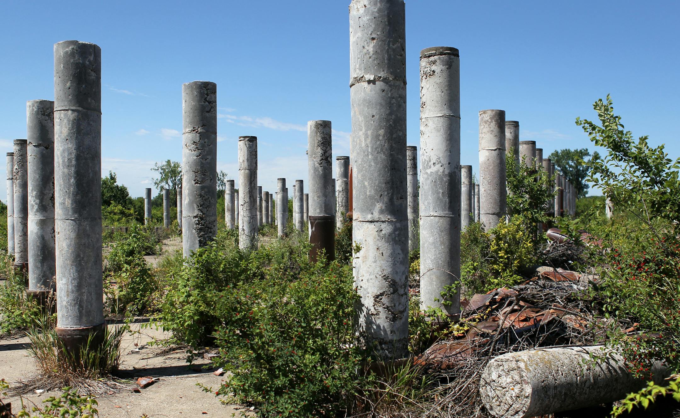 Ruins of an ammunition plant sit on the UMore Park site in Rosemount.