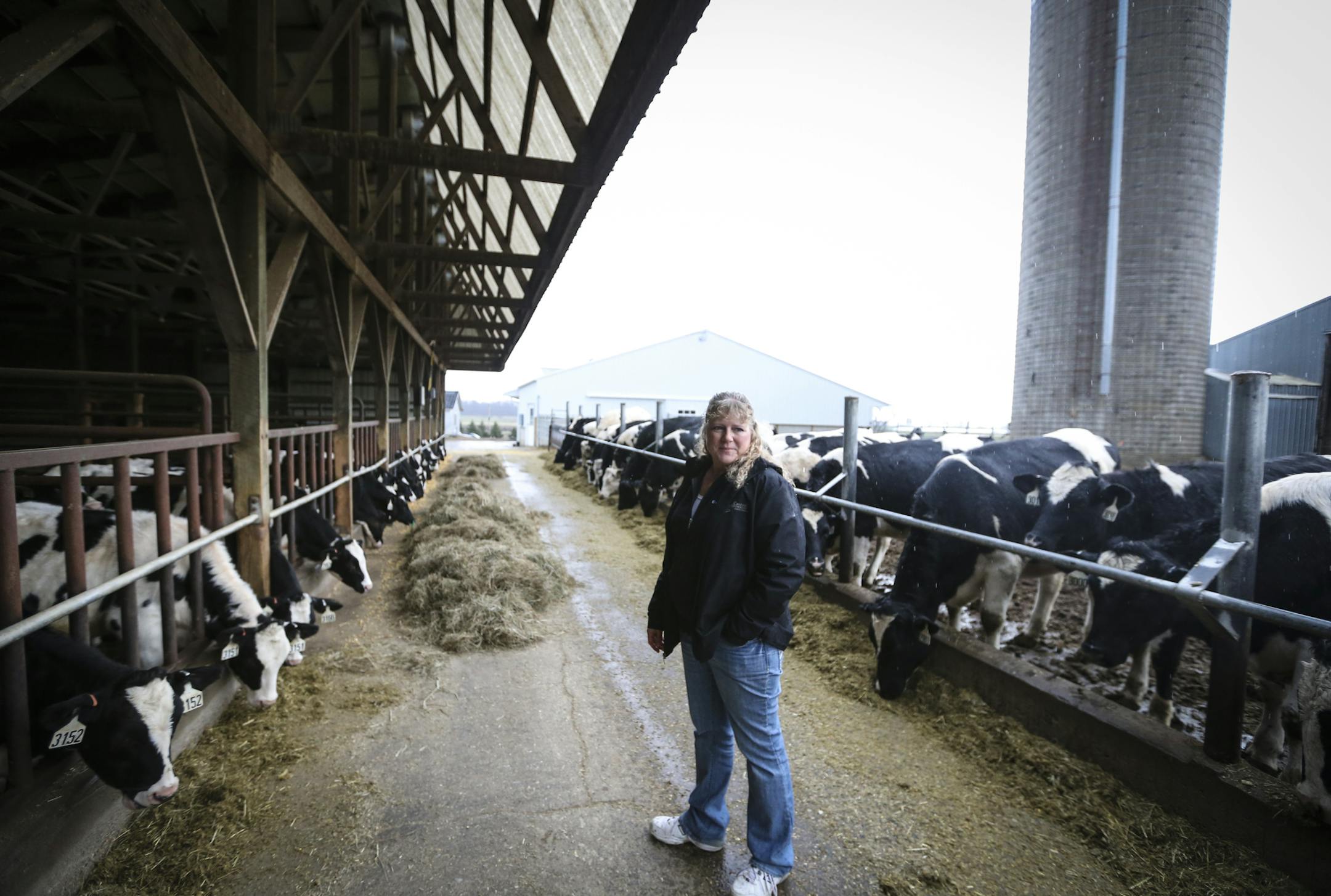 Michele Rohe at her family dairy farm near Freeport, Minn., on Monday, November 3, 2014. ] RENEE JONES SCHNEIDER &#x2022; reneejones@startribune.com