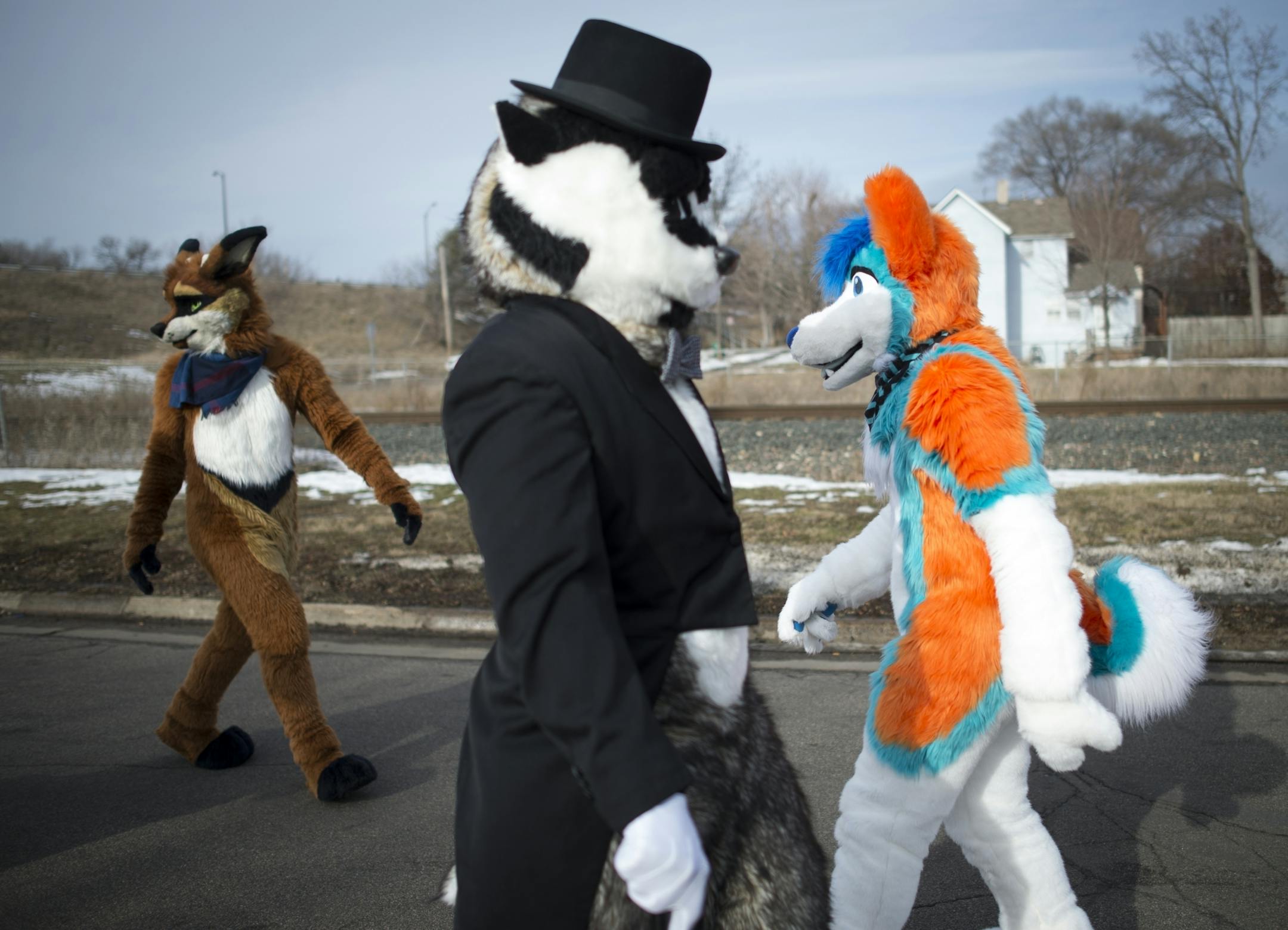 From left, Ringer, a raccoon deer, Birk the Badger and Boone the Husky walked to their starting position before the start of the Winter Carnival Parade in late January.