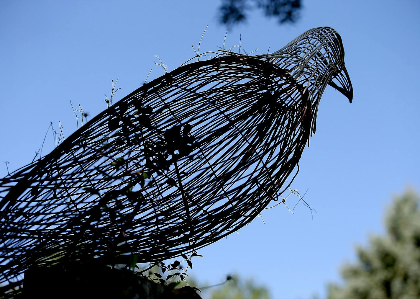 Kathy and Mike Pedersen's garden in Shakopee. ] (ELIZABETH FLORES/STAR TRIBUNE) ELIZABETH FLORES &#x2022; eflores@startribune.com ORG XMIT: MIN1508211533100588