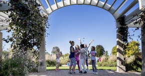 A group of school children on a field trip played that they were having a wedding in the pergola in the Longfellow Gardens on the living bridge over H