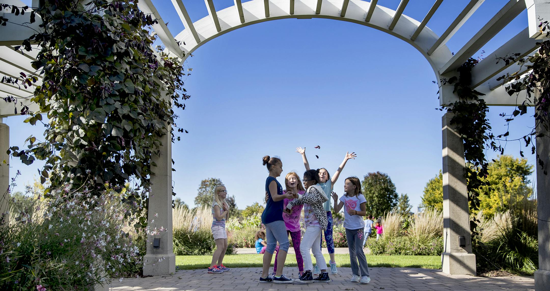 A group of school children on a field trip played that they were having a wedding in the pergola in the Longfellow Gardens on the living bridge over Hiawatha Avenue at Minnehaha Parkway on Wednesday, October 5, 2016, in Minneapolis, Minn. One little girl threw flower petals in their air during the pretend wedding. ] RENEE JONES SCHNEIDER &#x2022; renee.jones@startribune.com ORG XMIT: MIN1610051526190108