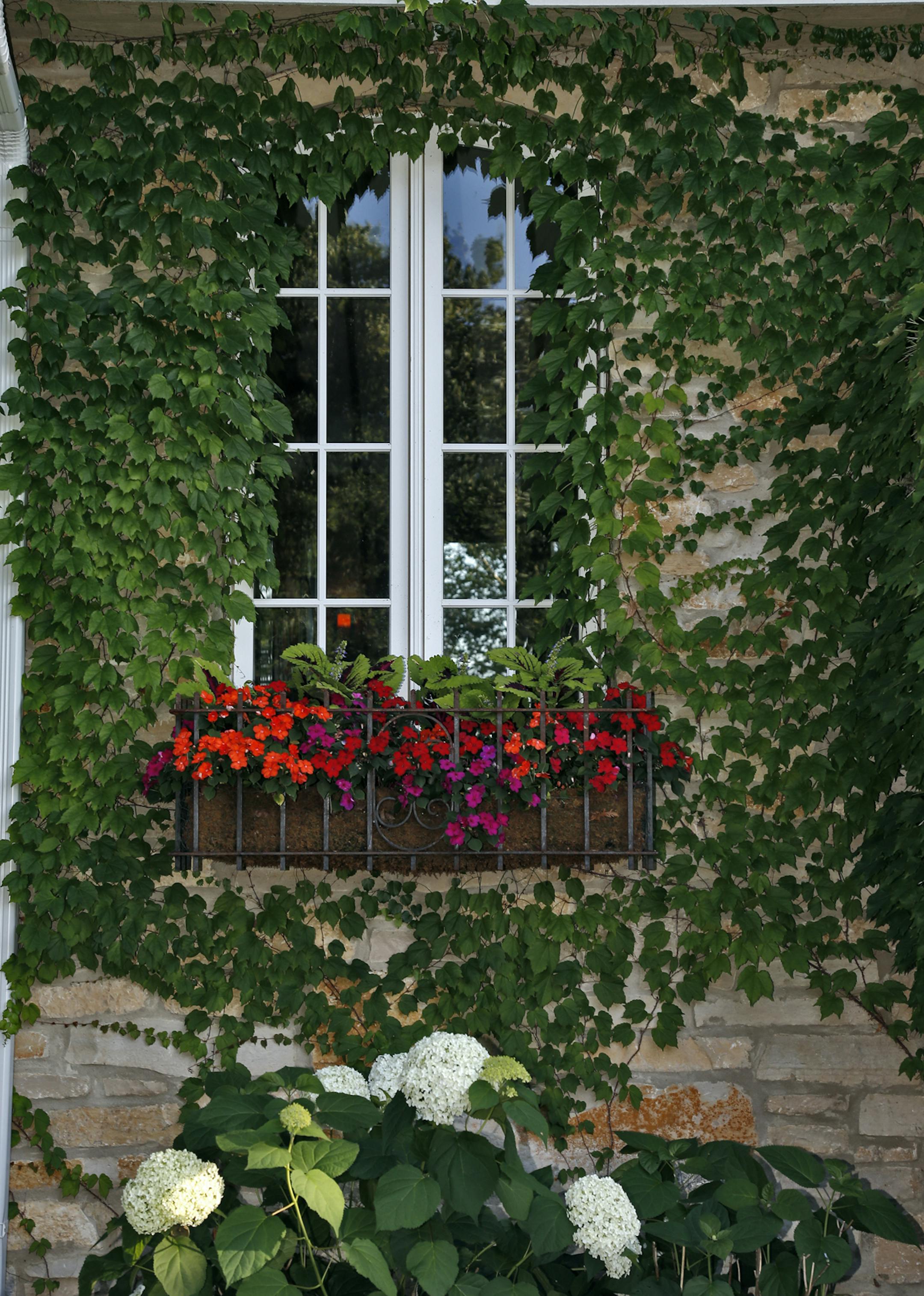 A look at the remodeled home of Jeff McCloskey in Mendota Heights. Exterior view of a great room window. (MARLIN LEVISON/STARTRIBUNE(mlevison@startribune.com