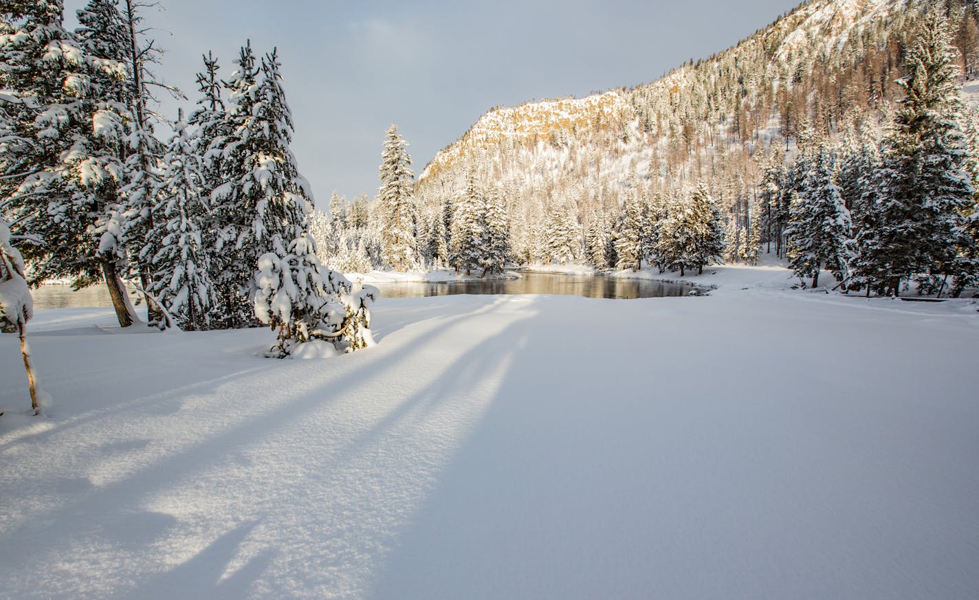 A view of Yellowstone National Park near the Madison River in Wyoming. (Jocrebbin/Dreamstime/TNS) ORG XMIT: 100627130W