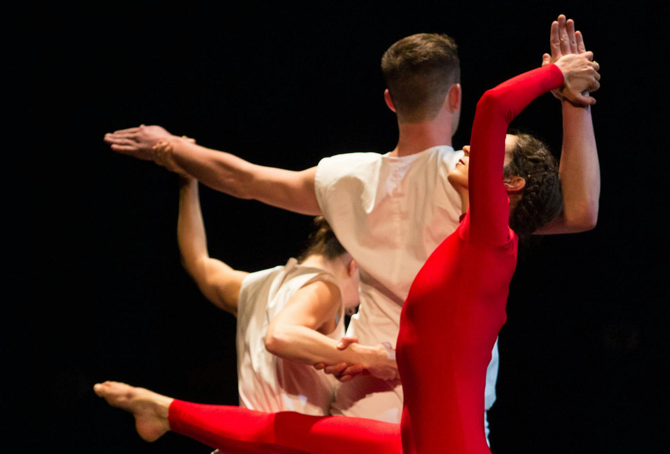 Zenon's 31st spring season has two world premieres: "Folktale Zero" by Daniel Stark and "rhythms of defamiliarization" by Netta Yerushalmy.