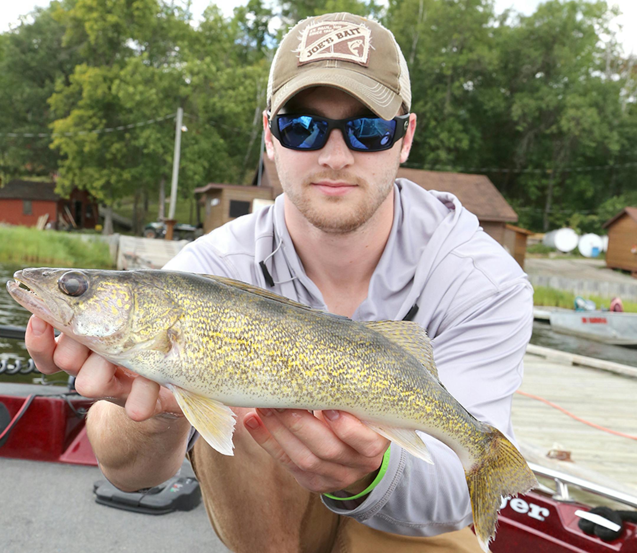 Walleye fishing was excellent on Lake of the Woods, as was muskie fishing. Here Dominic Schneider of Maplewood holds a dandy walleye. Primarily fishing for muskies, Schneider, Trevor Anderson and Dennis Anderson took breaks from casting big lures to boat their two-fish walleye limits, which usually took about 45 minutes.