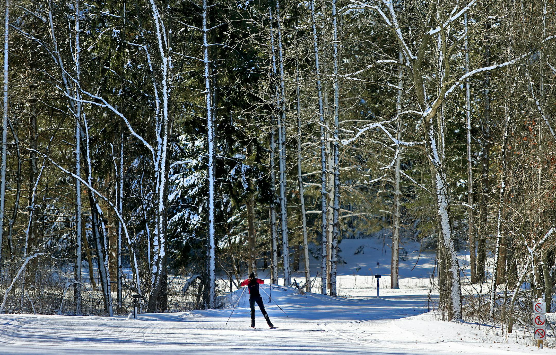 A cross-country skier made her way along one of the ski trails at the Nordic Center at Lake Elmo Park Reserve, Tuesday, February 2, 2014. (ELIZABETH FLORES/STAR TRIBUNE) ELIZABETH FLORES • eflores@startribune.com