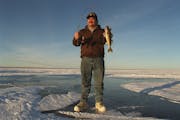 Walleye fishing on Mille Lacs has been curtailed this winter because of mild weather and weak ice. Extending the season would allow for more fishing, 