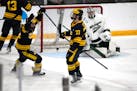 Michigan's Ethan Edwards (73) celebrates alongside teammate Dylan Duke after scoring past Michigan State goaltender Trey Augustine during the second p