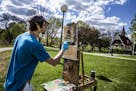 Palette knife in hand, and face mask at the ready, plein-air painter Jacob Docksey worked on a small painting of the 1906-vintage Loring Community Art