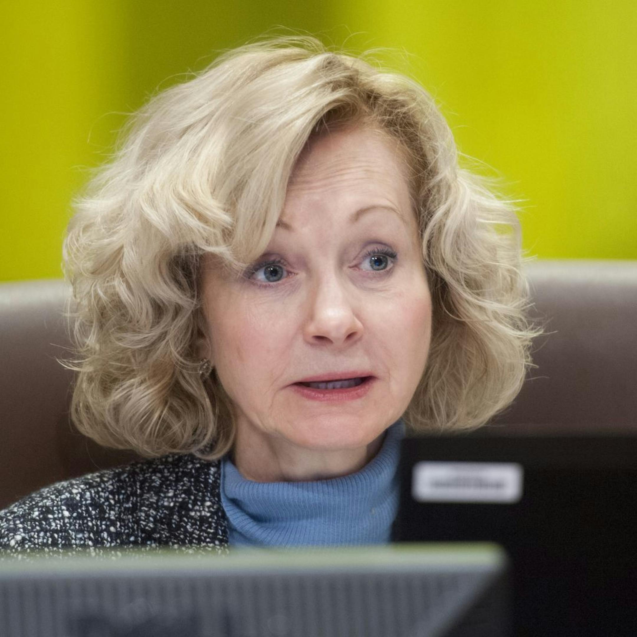 Minneapolis City Council member Diane Hofstede. Thursday, February 23, 2012