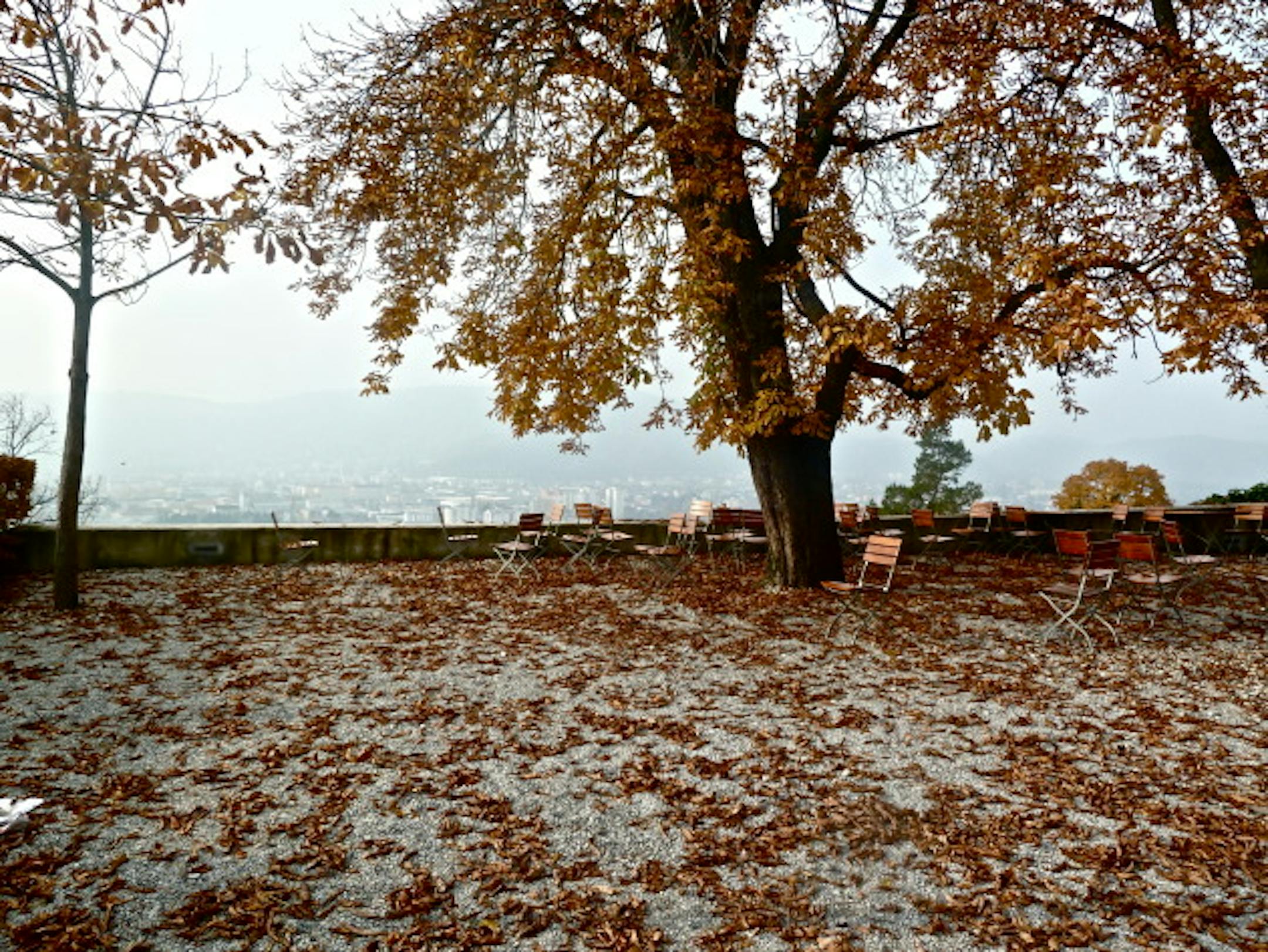 I could camp out here with a book for a loooong time...