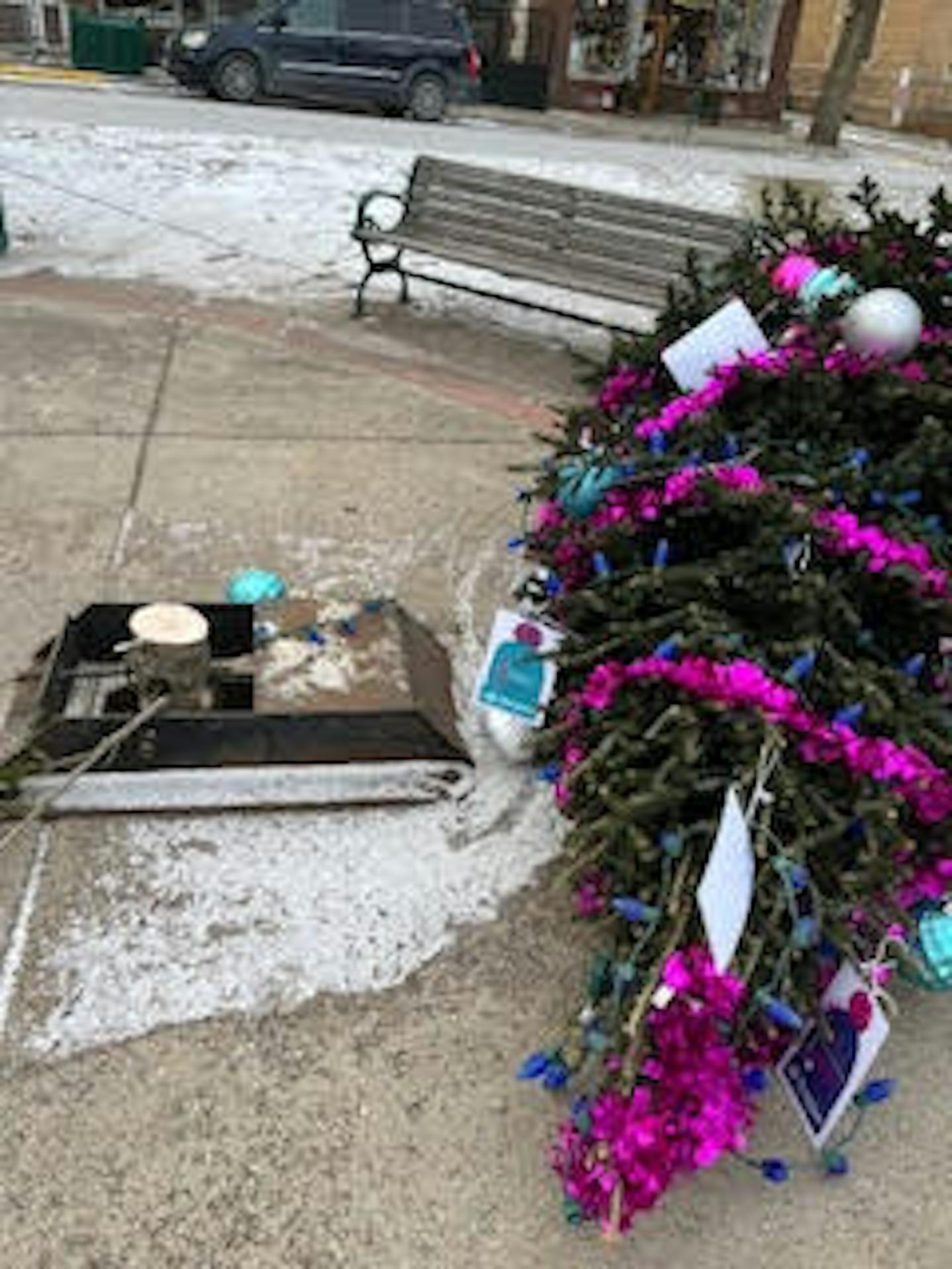 Grinch in Northfield fells Christmas tree, but fails to ruin holiday