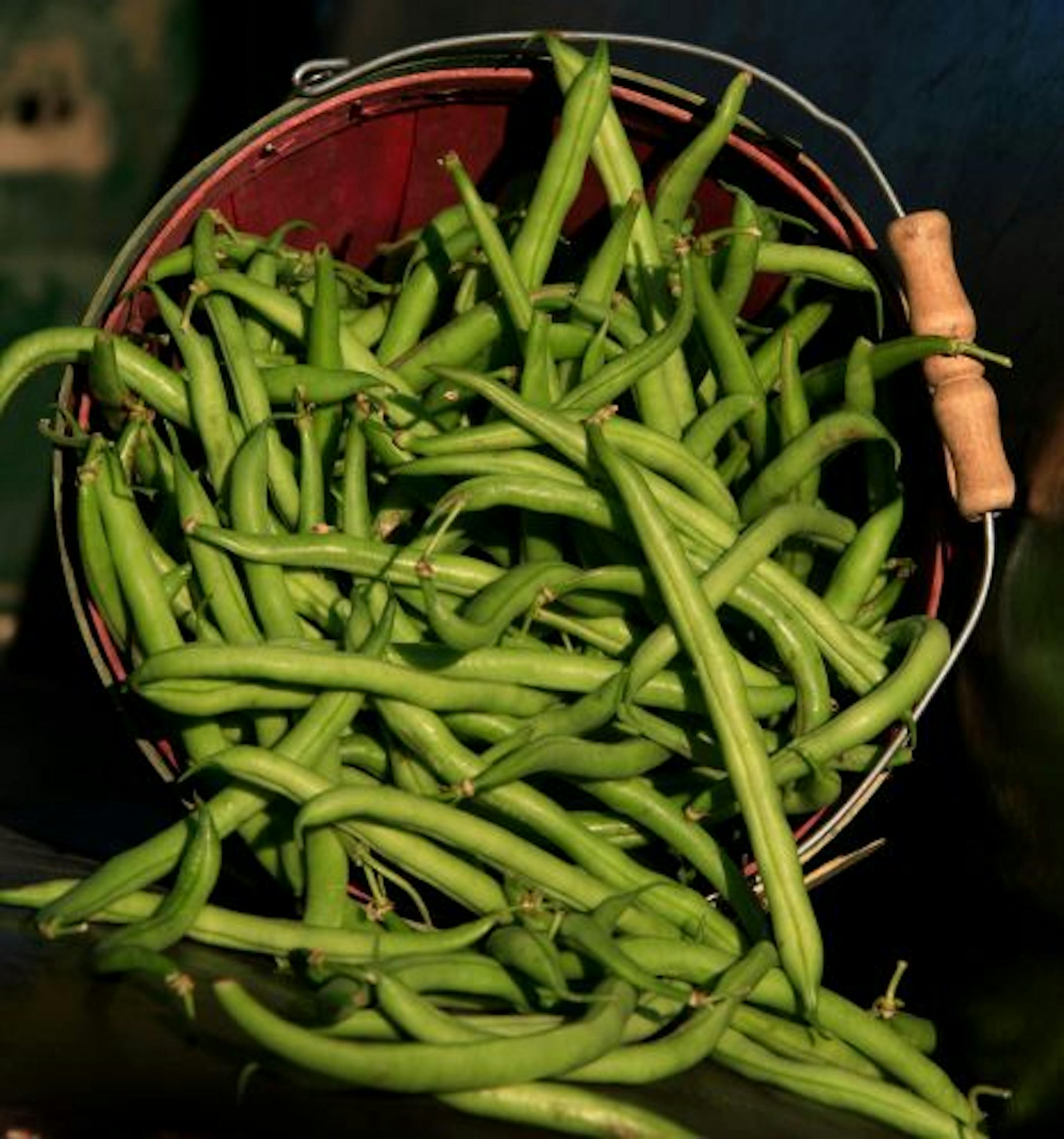 Farmers markets are brimming with beans.