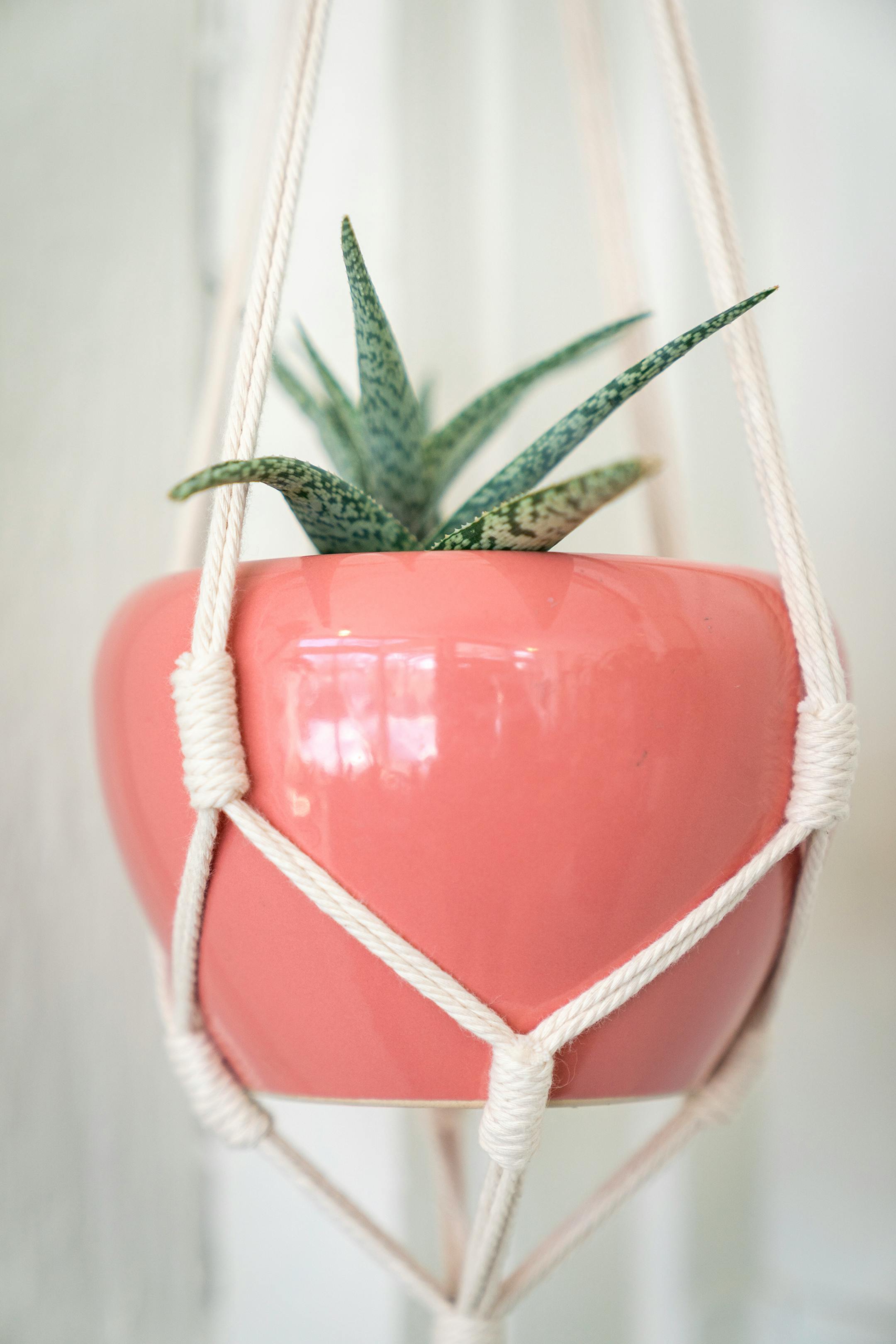 Carousel + Folk a shop for curated vintage goods, gifts and plants, in Minneapolis.