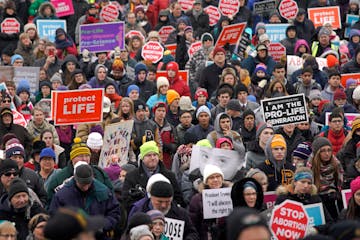 Hundreds gathered on the steps of the State Capitol Tuesday for the Minnesota Citizens Concerned for Life (MCCL) March for Life. The annual march, hel