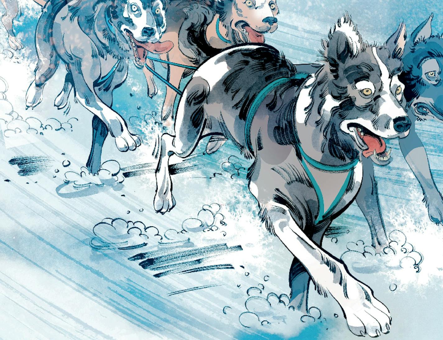 Sled dogs are a special breed, and mushers are only too happy to talk about their teams.