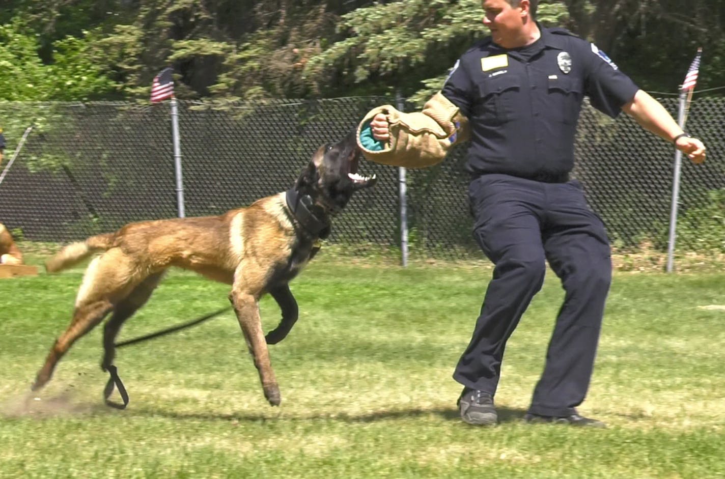 Seventeen police canines and their human partners graduated from St. Paul's K-9 training program in May.