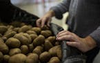 Bob Branham, Director of Produce Strategies at Second Harvest Heartland shows a shipment of potatoes in Second Harvest Heartland's Brooklyn Park wareh