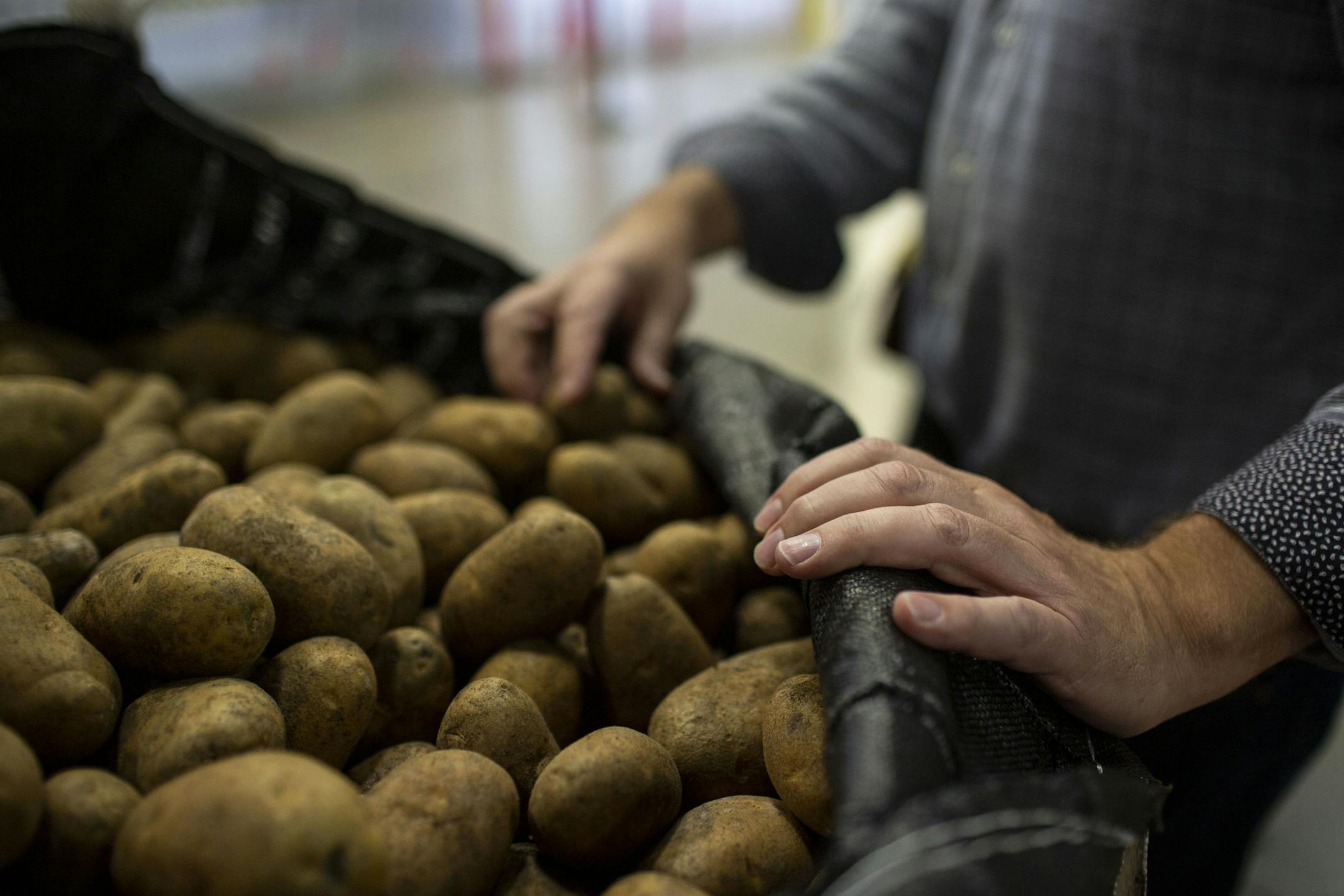 Bob Branham, Director of Produce Strategies at Second Harvest Heartland shows a shipment of potatoes in Second Harvest Heartland's Brooklyn Park warehouse. ] NICOLE NERI &#x2022; nicole.neri@startribune.com BACKGROUND INFORMATION: Thursday, June 13, 2019 in Second Harvest Heartland warehouse in Brooklyn Park.