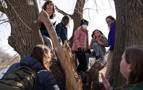 A group of girls ages 10-13 listen to naturalist Mary Dybvig, right, talk about interesting facts about trees as they climbed a willow tree during the