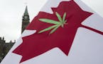 FILE - In this April 20, 2015 file photo, a Canadian flag with a cannabis leaf flies on Parliament Hill during a 4/20 event in Ottawa, Ontario. Anothe