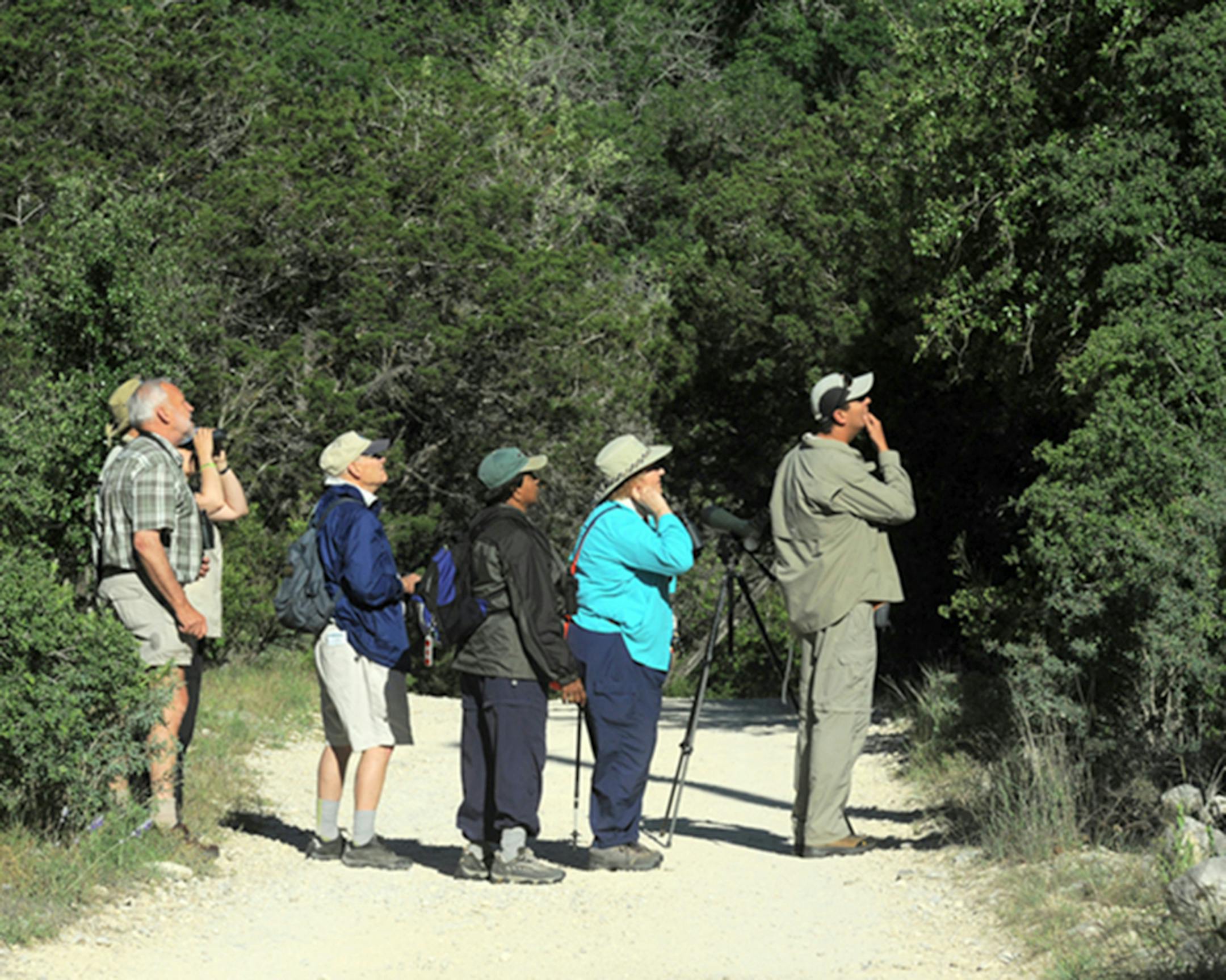 credit: Jim Williams You don't need a guide to look for birds in your own neighborhood. Just stop, listen and look around you with careful eyes.