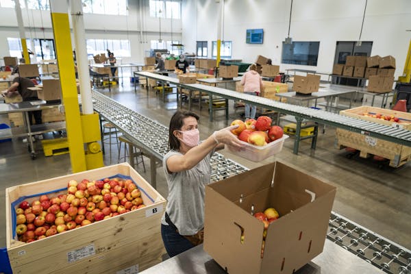 Volunteer Janessa Rosenfield of Hopkins packed apples into boxes at Second Harvest Heartland in Brooklyn Park.