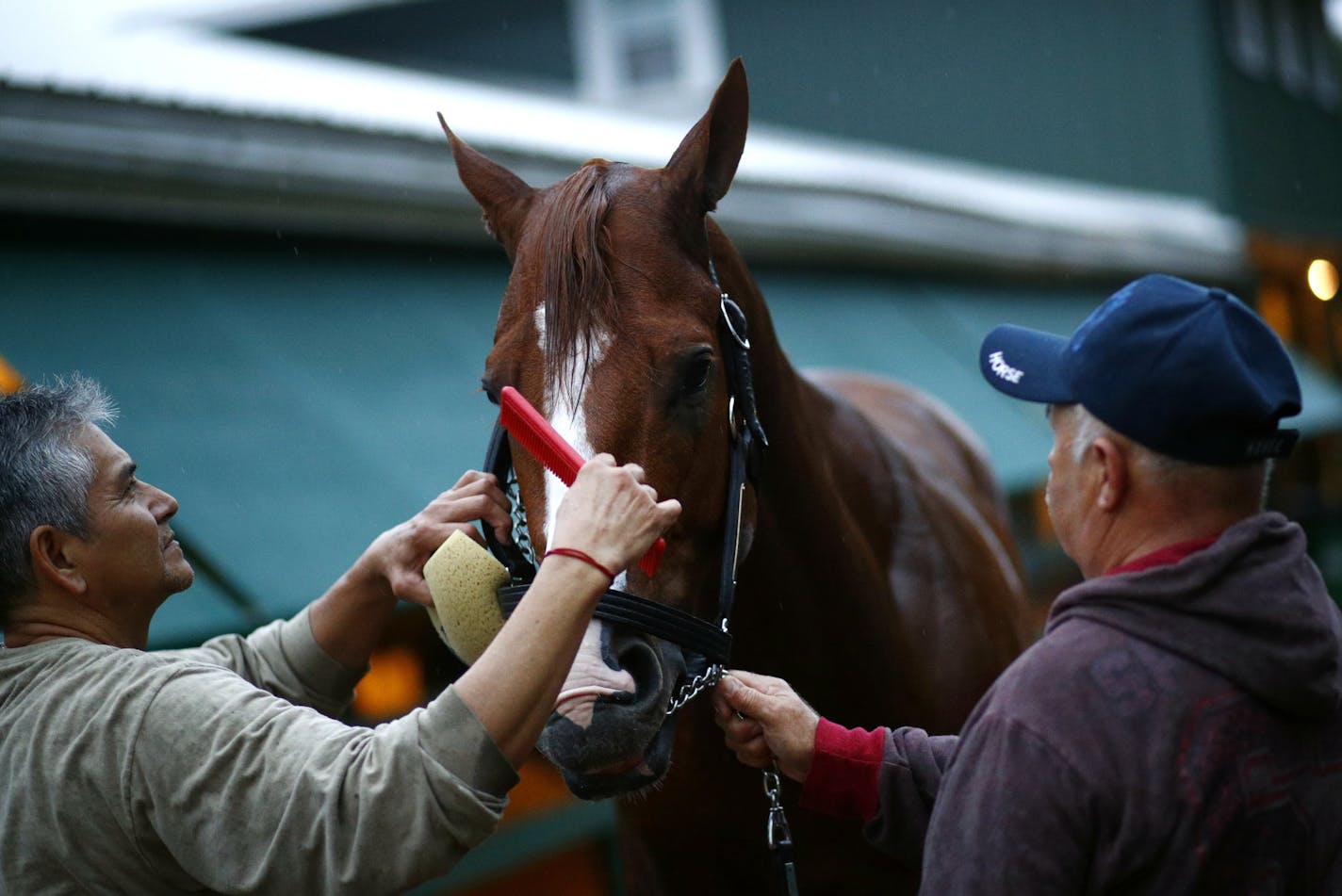 Patrick Semansky Associated Press
Kentucky Derby winner Justify is cleaned outside a barn at Pimlico on Friday.