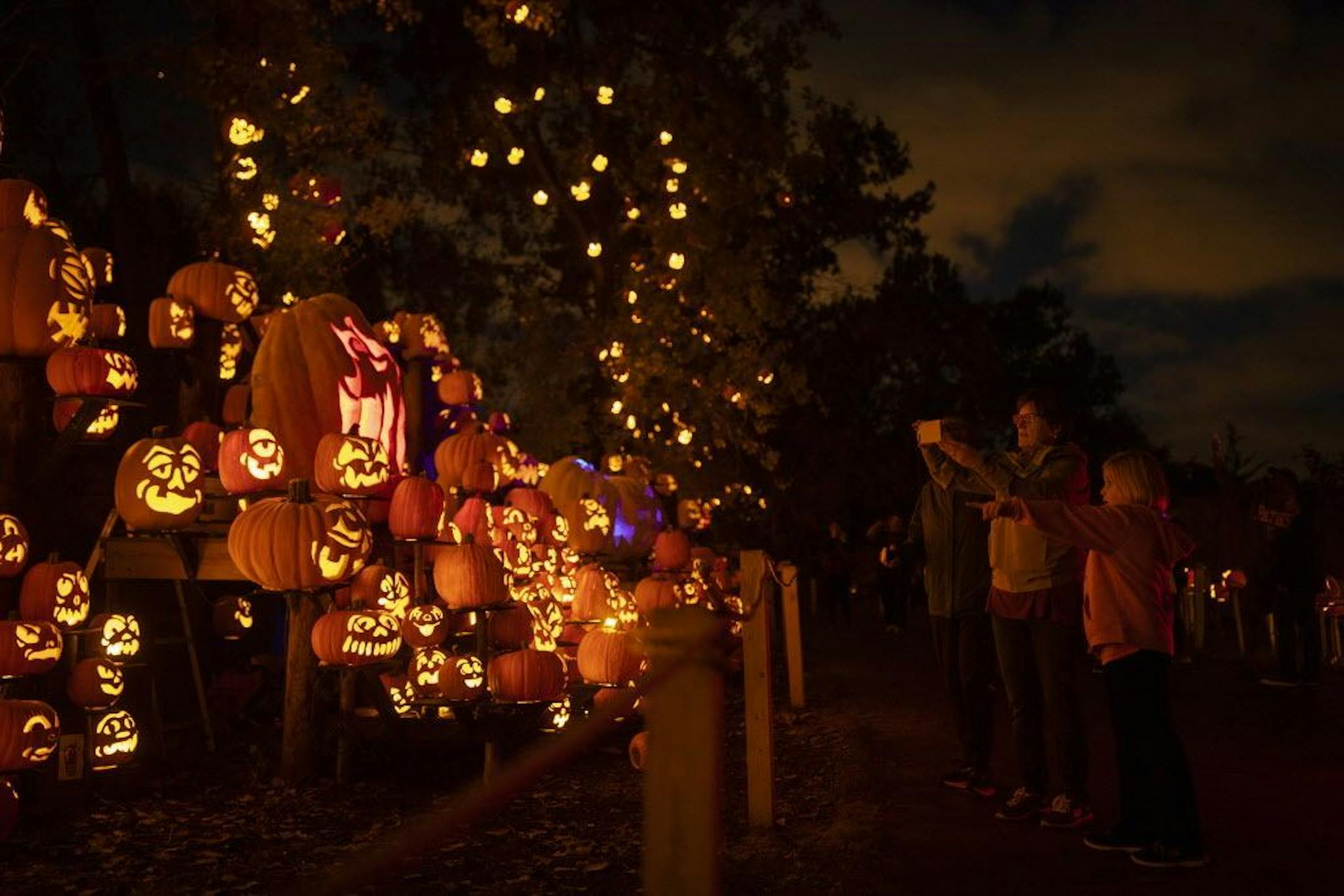 Visitors photographed one of the displays during the preview for the Jack-O-Lantern Spectacular Wednesday night at the Minnesota Zoo.