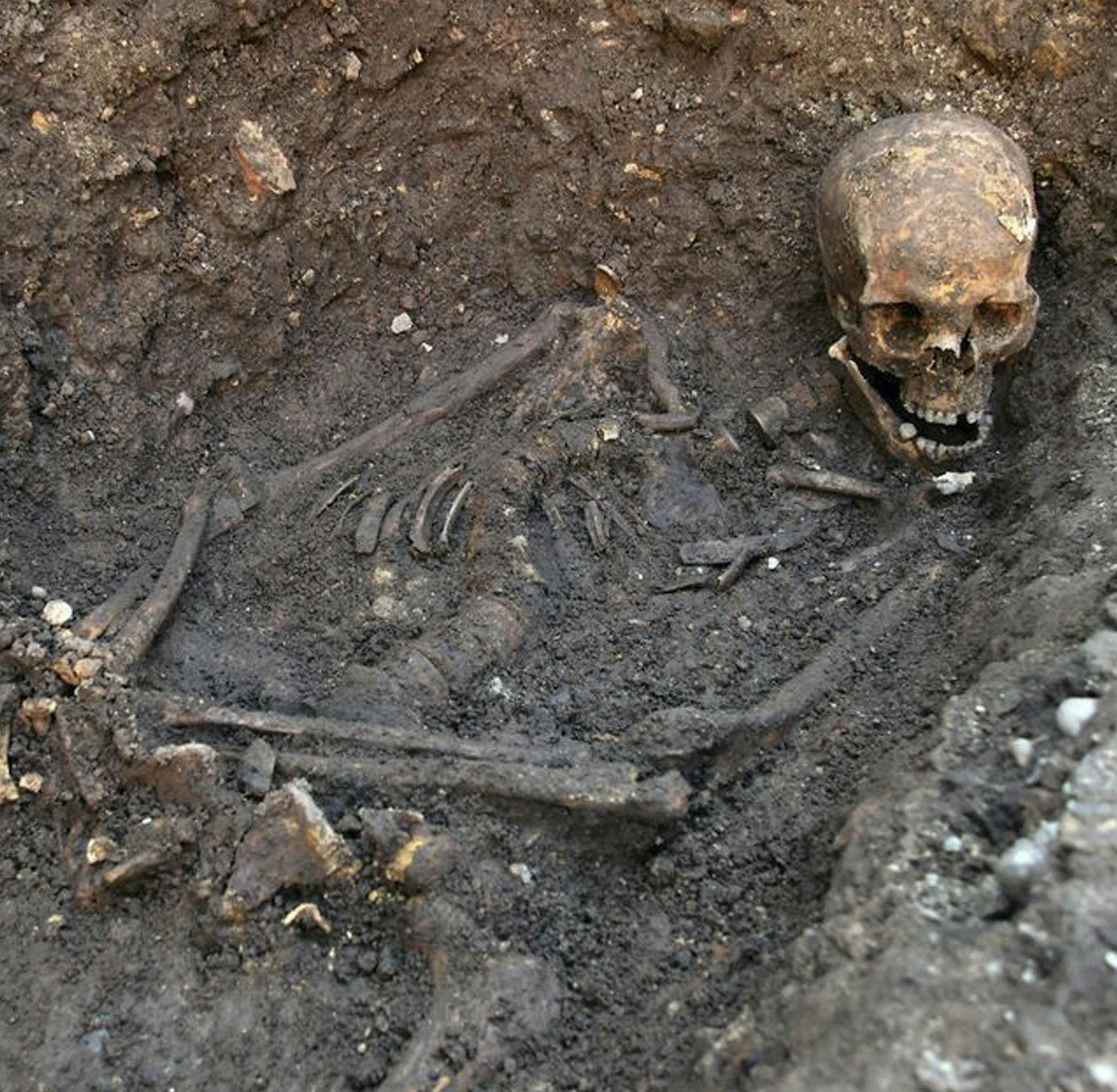 FILE - In this undated file image made available Monday Feb. 4, 2013, by the University of Leicester, England, showing the mortal remains of Britain's King Richard III, found underneath a car park in Leicester after being declared missing for around 500 years. Scientists at the University of Leicester, have carried out scans and according to a new analysis of the medieval king’s skeleton released Friday May 30, 2014, the King's long fabled kinked spine actually had a "well balanced curve"