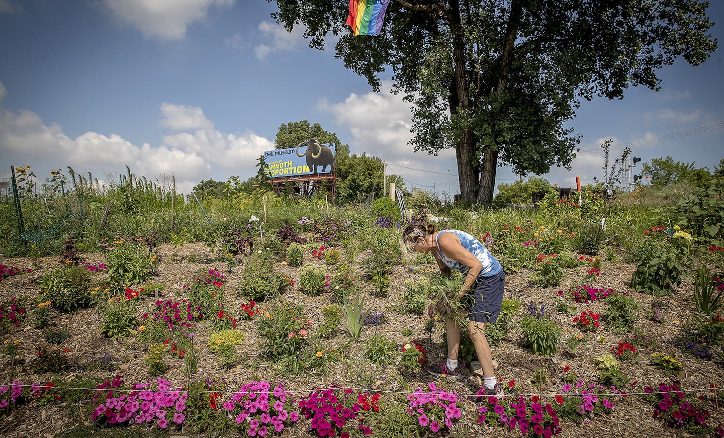 A grandmother turns her grief into a St. Paul community garden