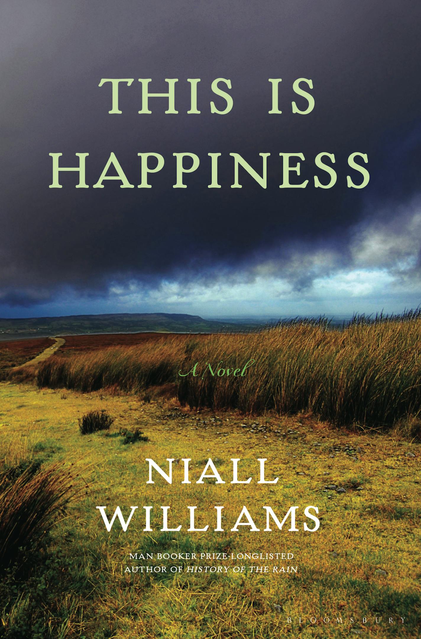 This is Happiness by Niall Williams