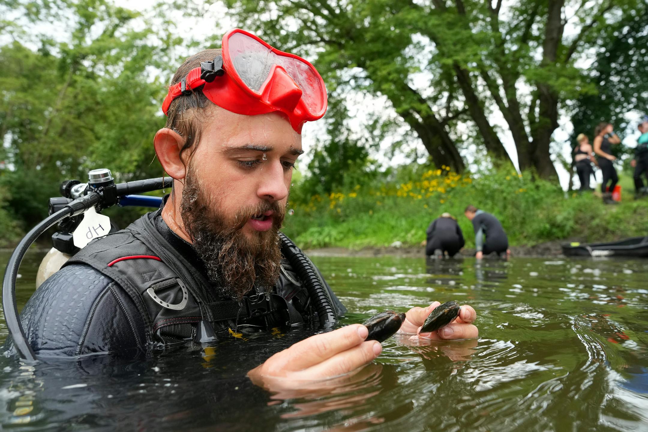 Hunter Poffinbarger, a student intern with the Minnesota DNR, looks over a pair of black sandshell mussels as he and a team surveyed their population in a section of the Cedar River.