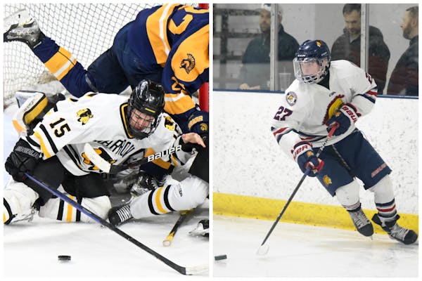 Same teams, new stories: Four takes on the Class 1A hockey field
