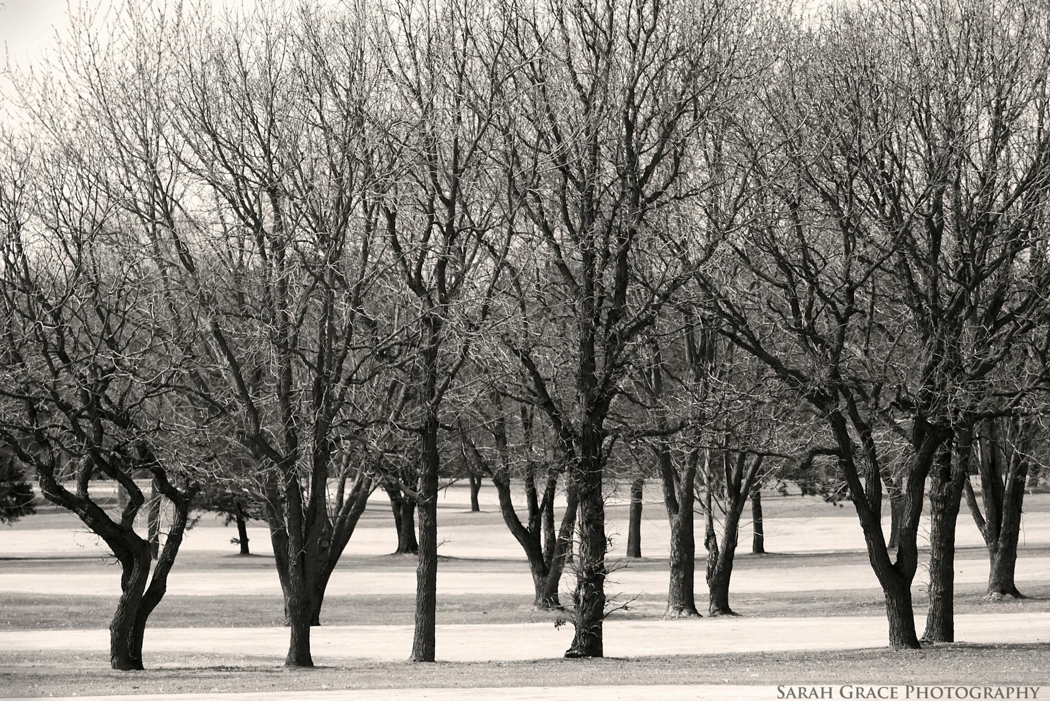 A photo by Sarah Filipi is one of the artworks on display in the Winter in Minnesota exhibit at Blaine City Hall. December 2013