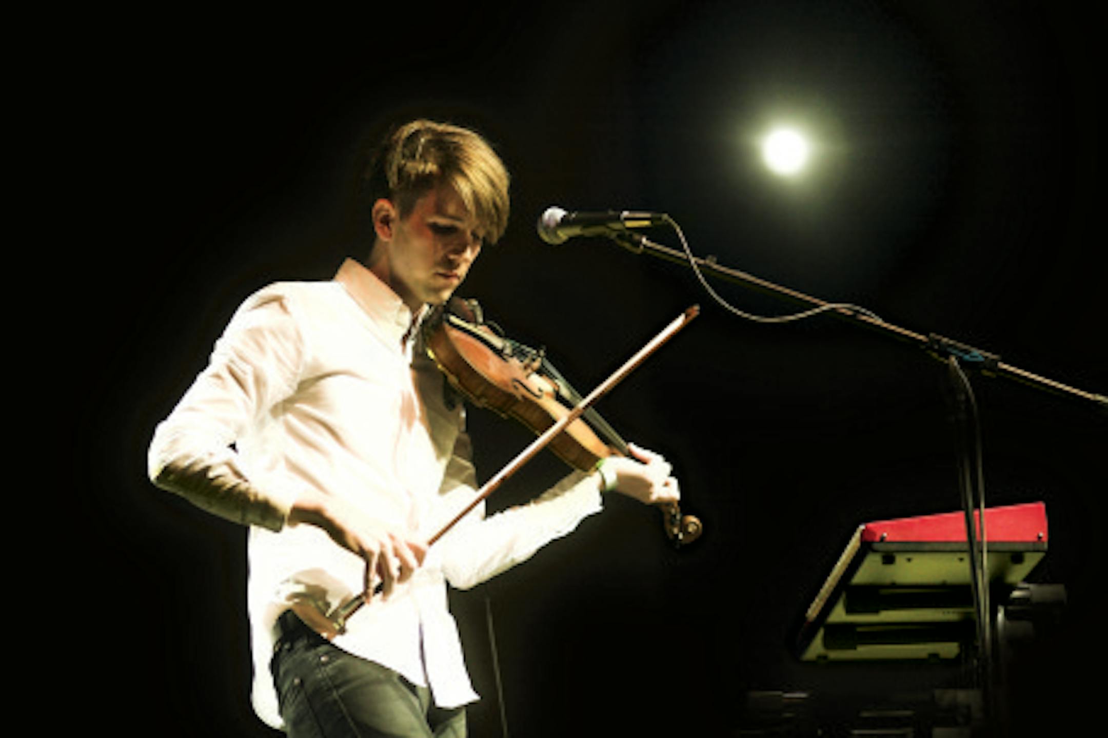 Photo courtesy David Waldman