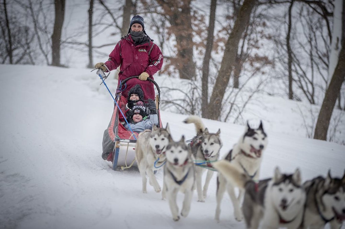 Jennifer Freking took visitors on a dog sled ride during the TeamNorthxTarget Snow Day at Theodore Wirth Park, Sunday, January 14, 2018 in Golden Valley, MN. Target and Askov Finlayson teamed up to celebrate and debut their product by offering a full day of winter activities that included, dog sledding, snow tubing, and life-sized bubble hockey.