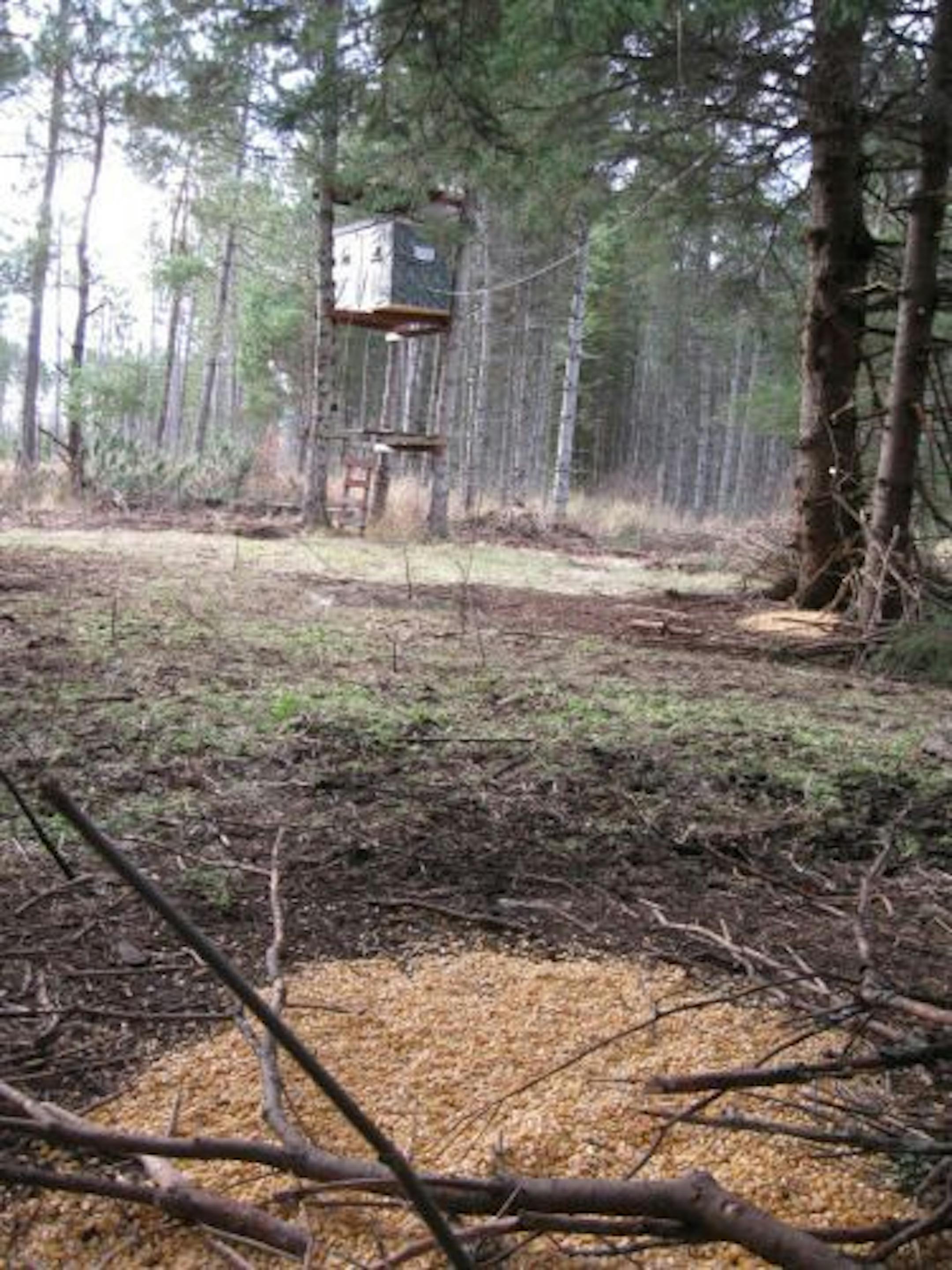 DNR conservation officer Brent Speldrich of McGregor discovered several piles of corn near this deer stand this fall.