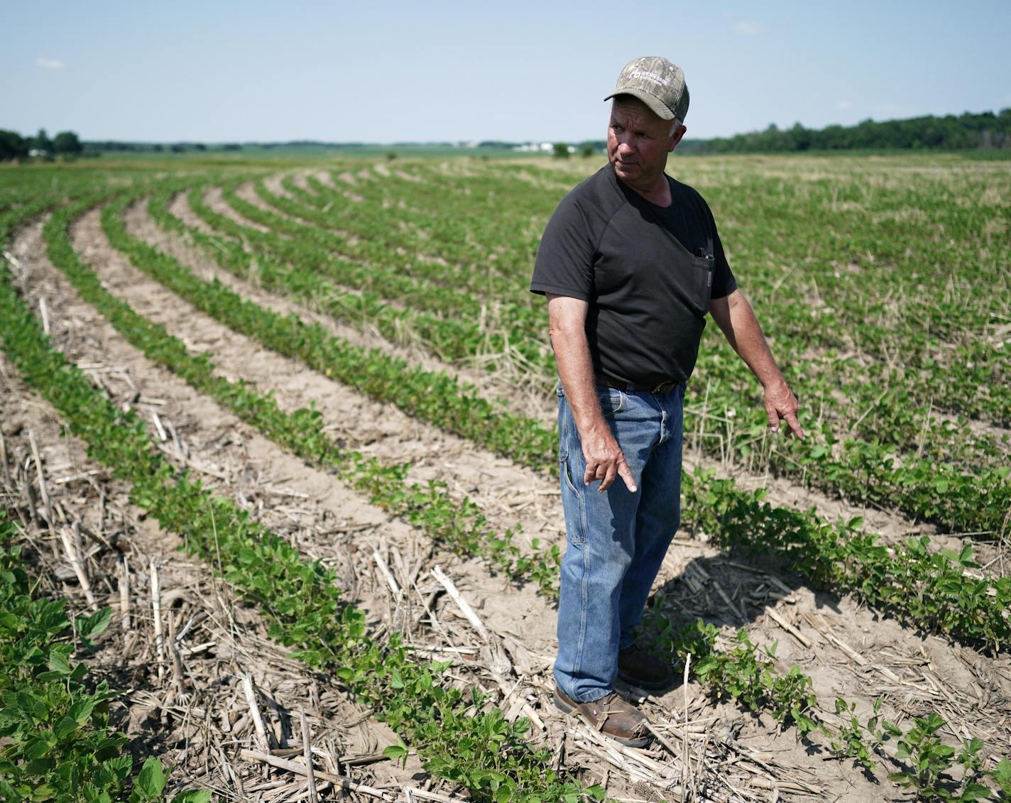 Larry Conrad surveyed land he was able to plant with a soybean cover crop, next to several tracts that remained bare.