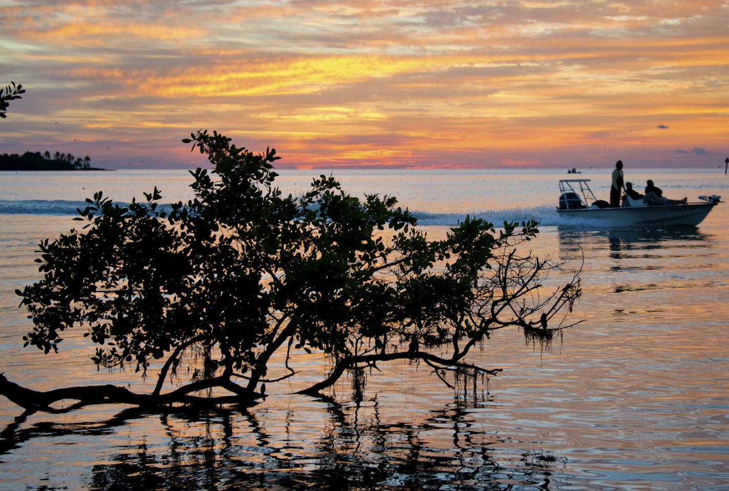 In this photo provided by the Florida Keys News Bureau, anglers competing in the Redbone fishing tournament proceed to their first spot of the morning, Saturday, Nov. 3, 2012, off the Florida Keys near Islamorada, Fla. Marking its 25th anniversary this weekend, the Redbone is the centerpiece of a series of angling contests that raise funds for cystic fibrosis treatment and research. The series has raised about $18 million for the cause, tournament officials said. (AP Photo/Florida Keys News Bure