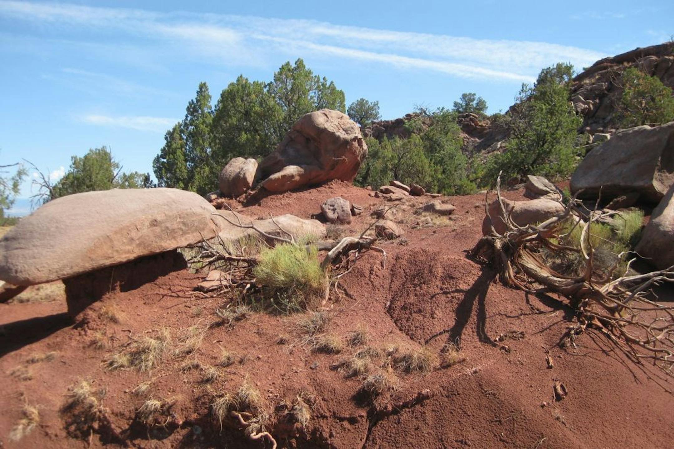 Spectacular desert beauty -- red sand, rugged brush, creepy deadwood -- is on display during a Jeep tour on private land outside Albuquerque, N.M.